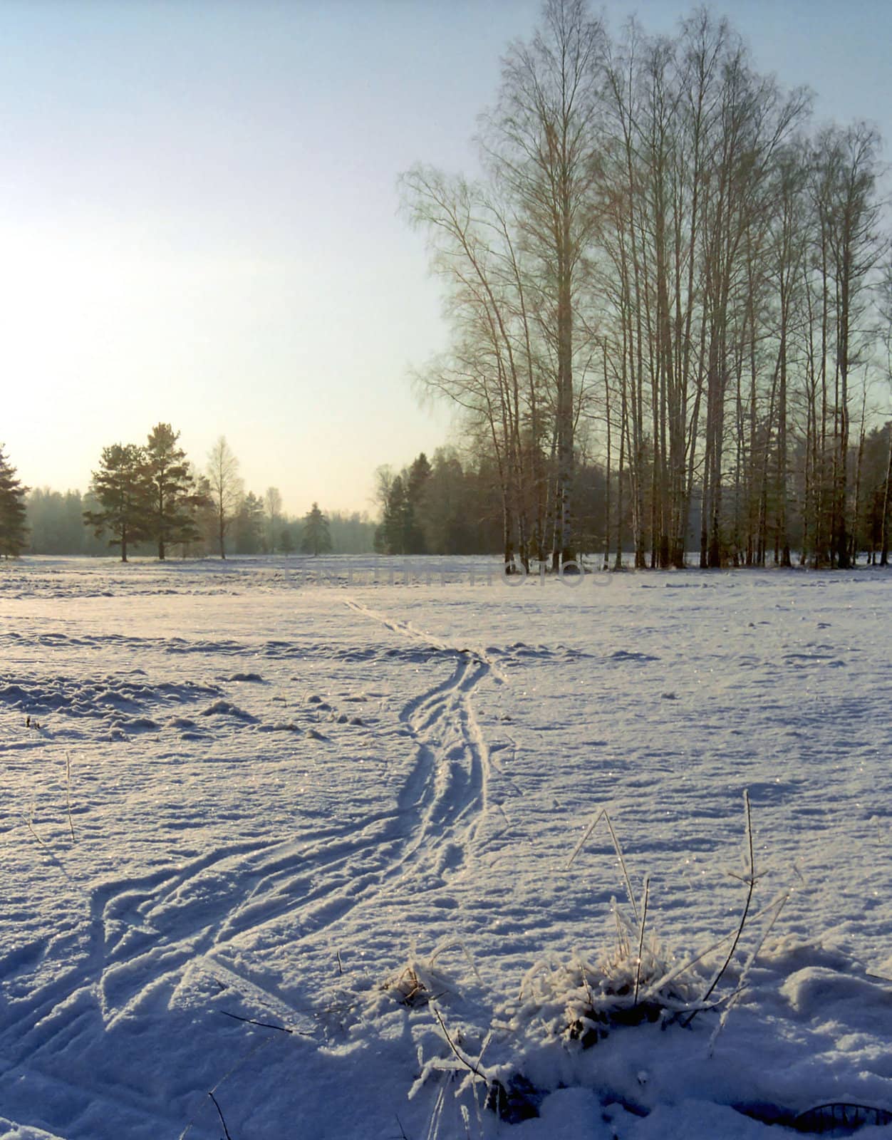 Winter landscape by mulden