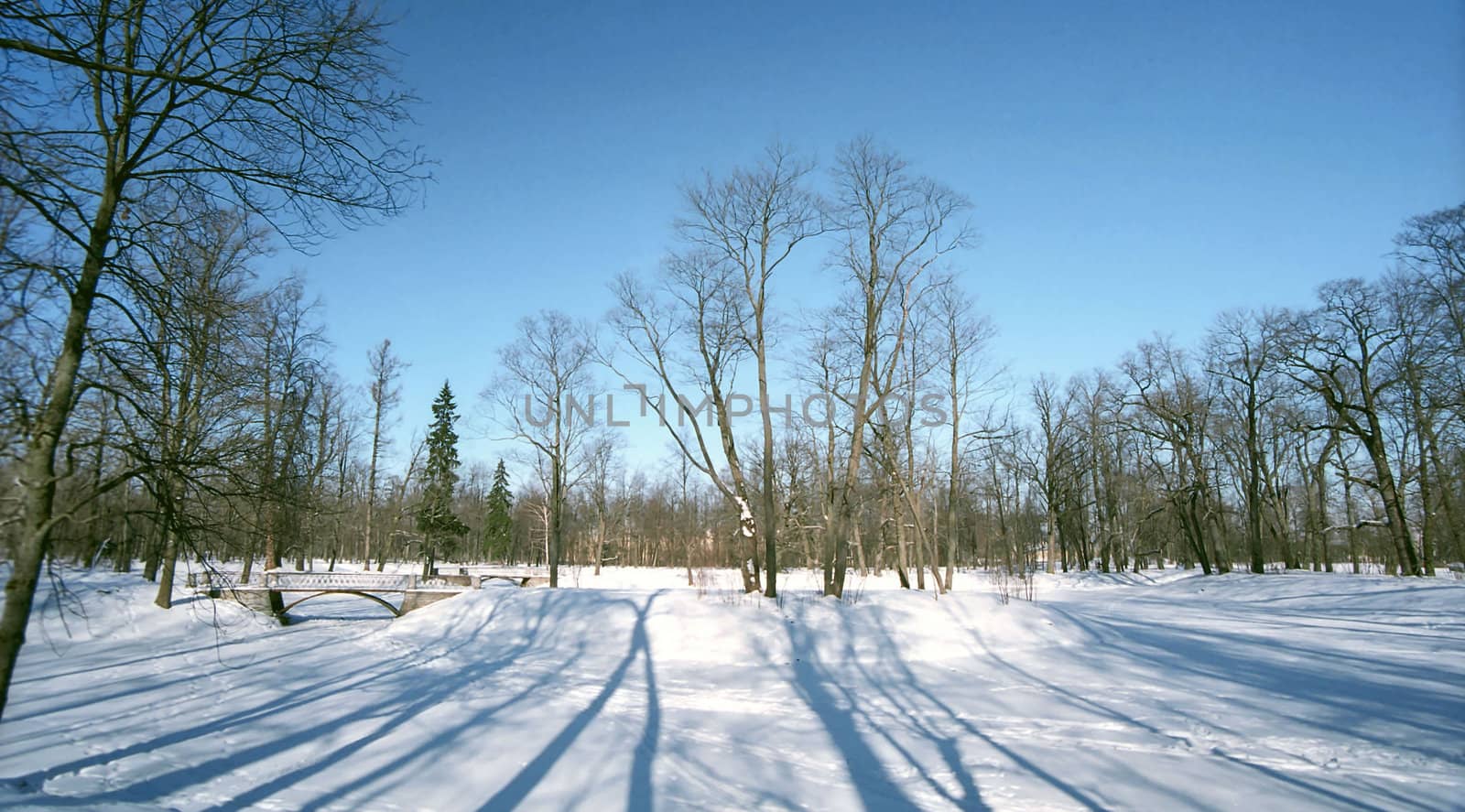  Winter landscape with shades by mulden