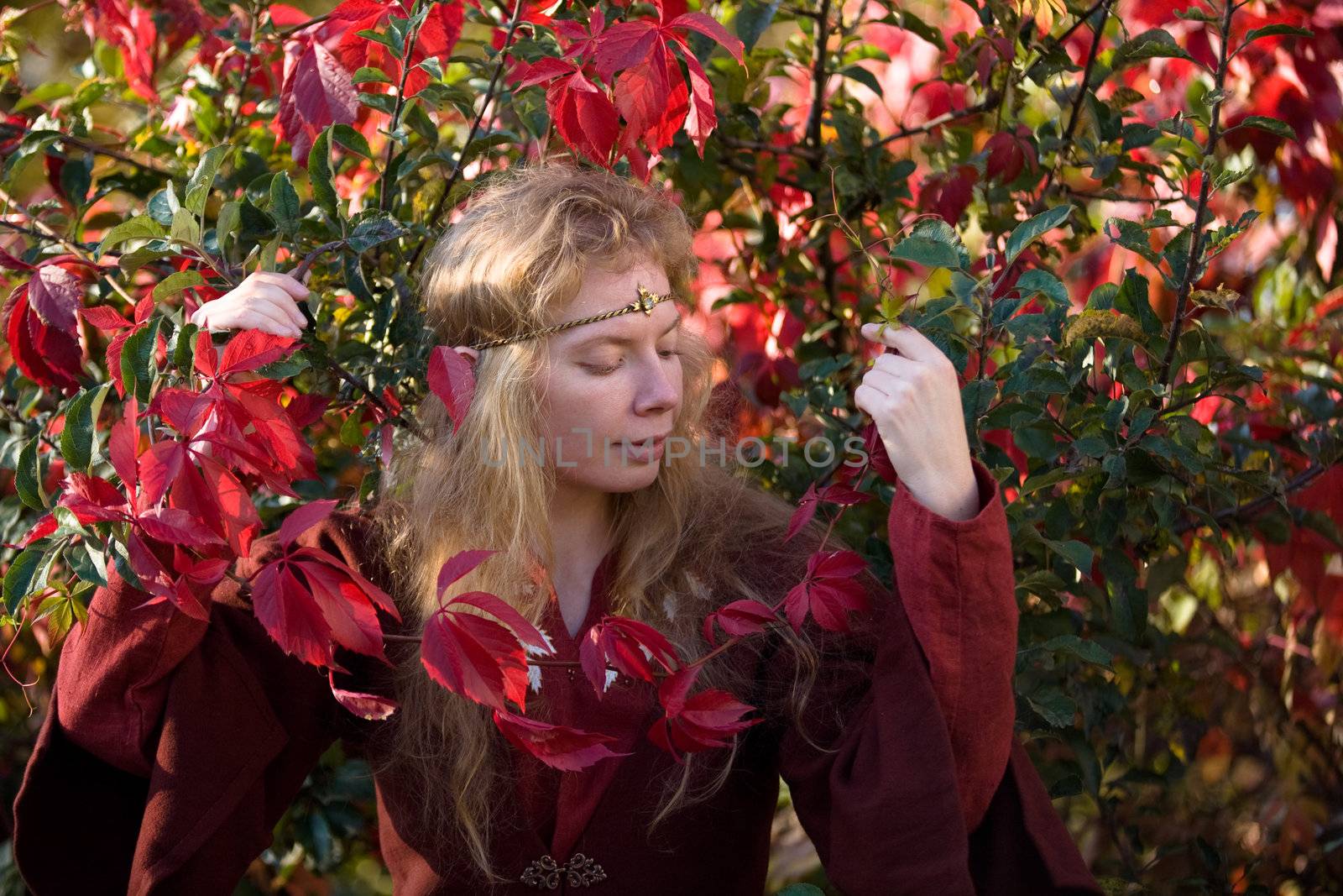 The blonde girle in medieval red dress in the autumn forest
