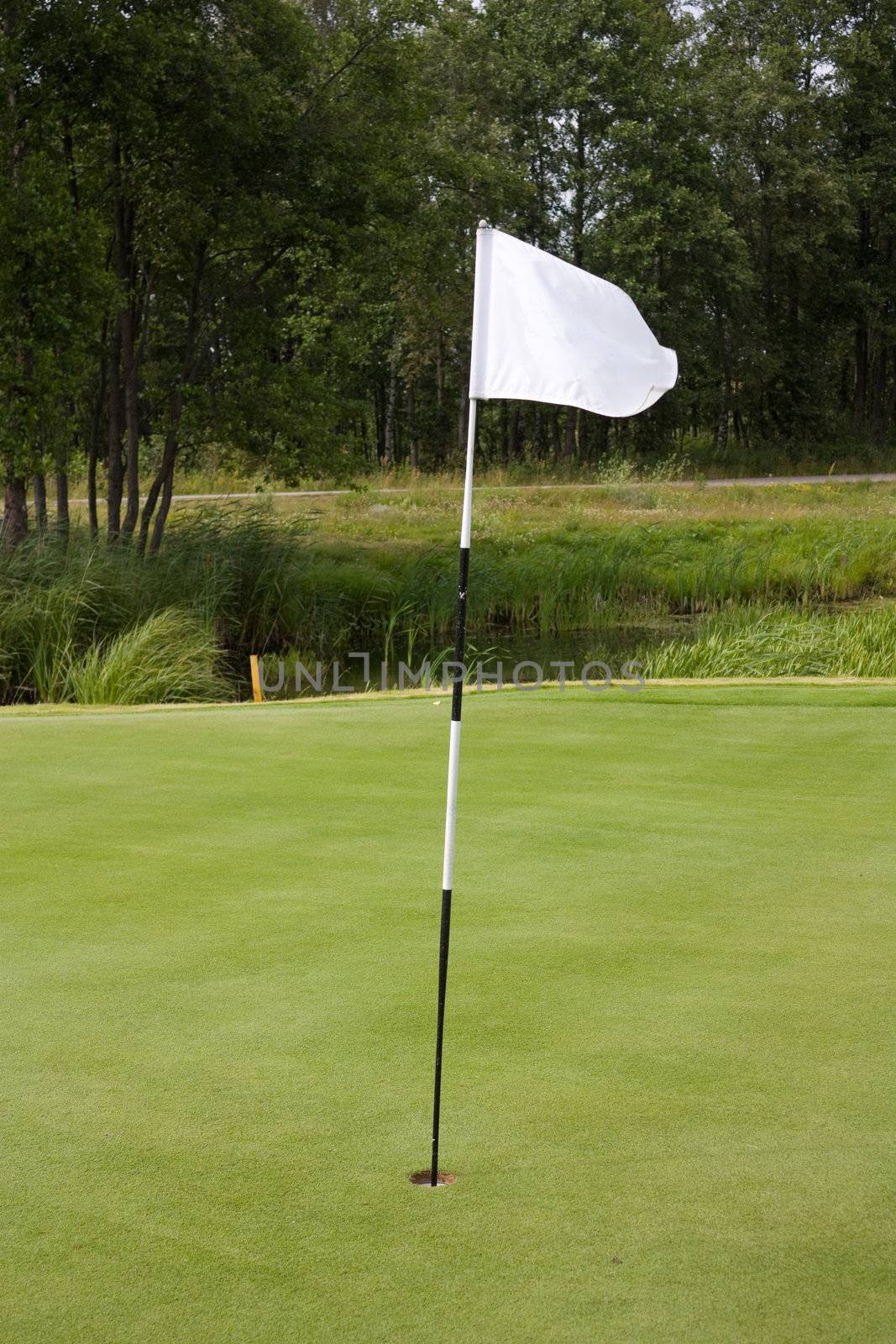the golf course, the white flag
