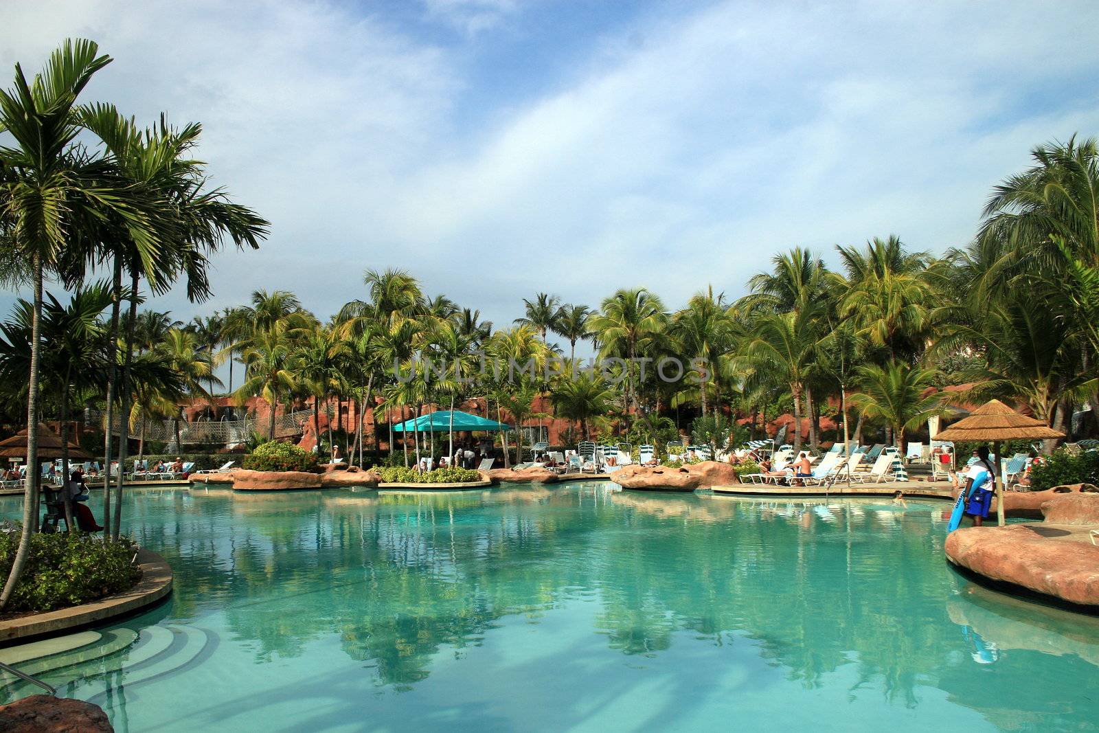 Palm Trees and Swimming Pool in the Bahamas