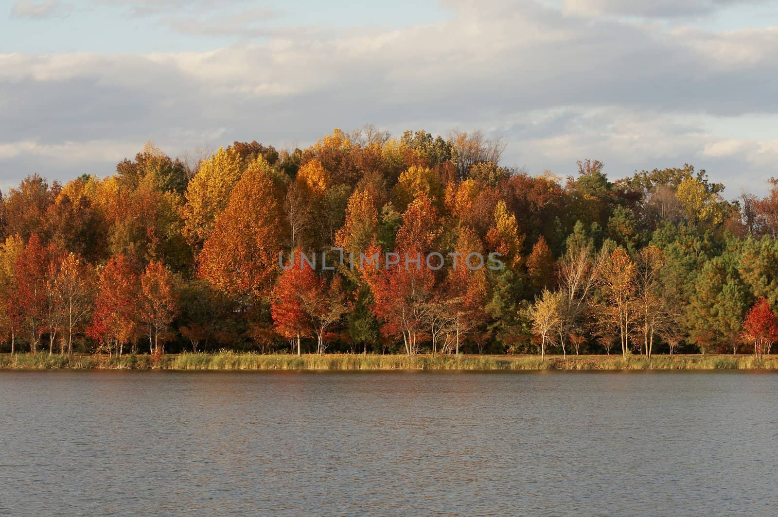 a picture of fall trees and water