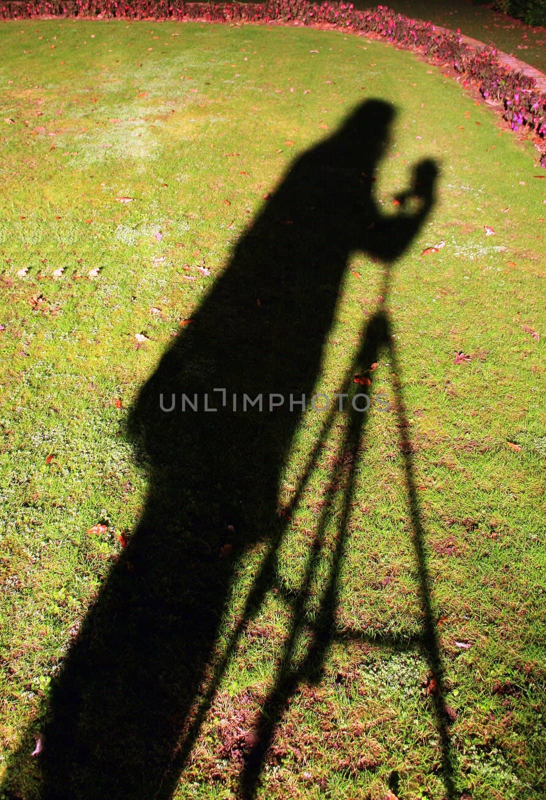 Shadow on the photographer in the grass with camera and tripod.