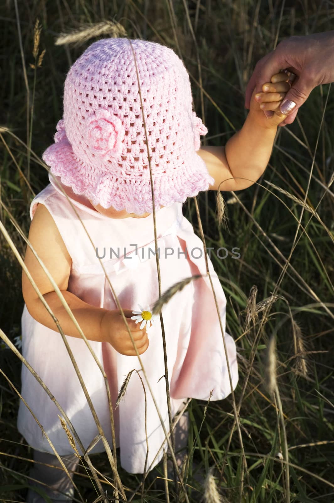 Little girl with pink hat is standing on the meadow, field.







Little girl  with a pink hat is standing on the field, medow