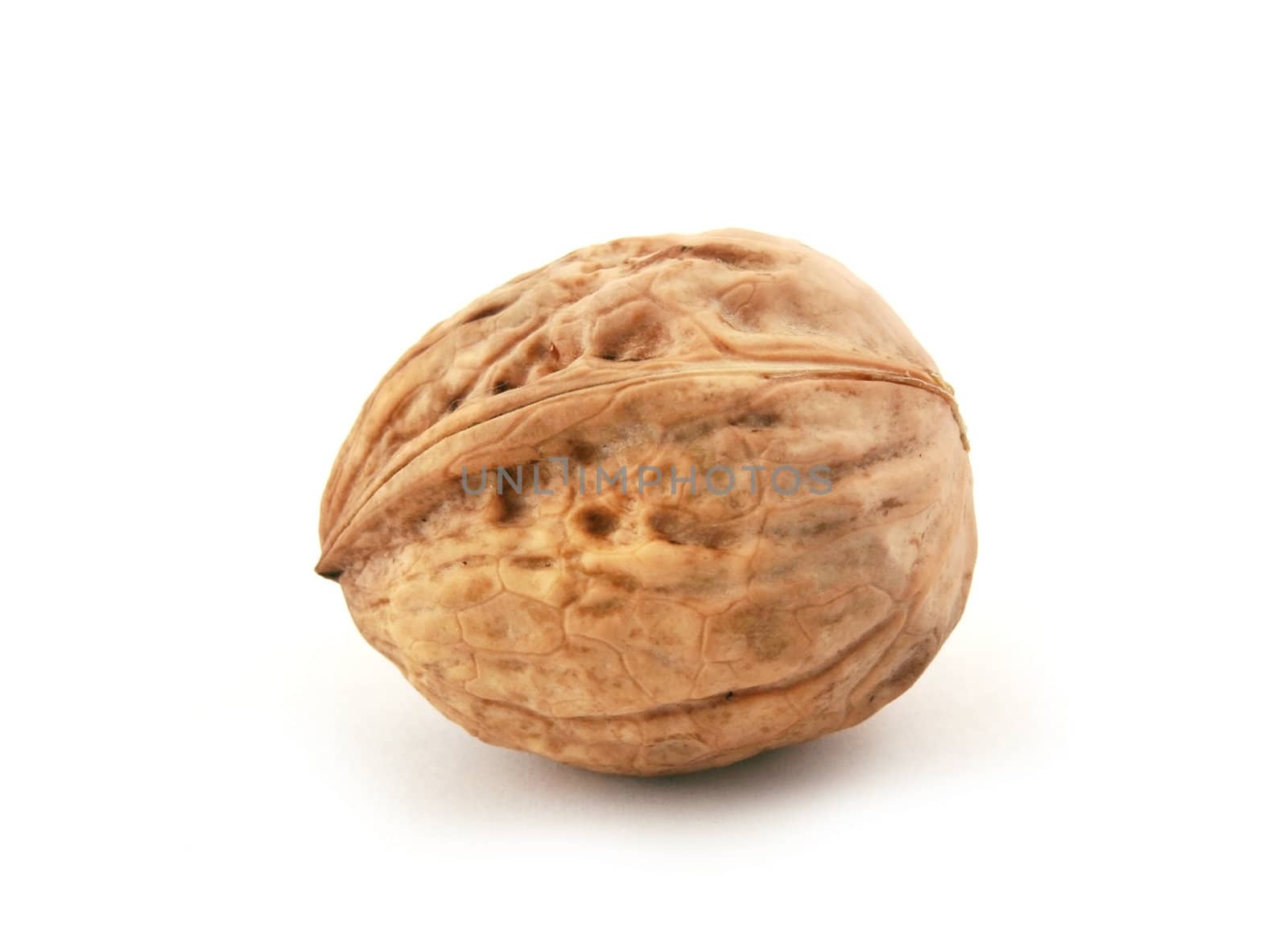 Wallnut isolated on white background