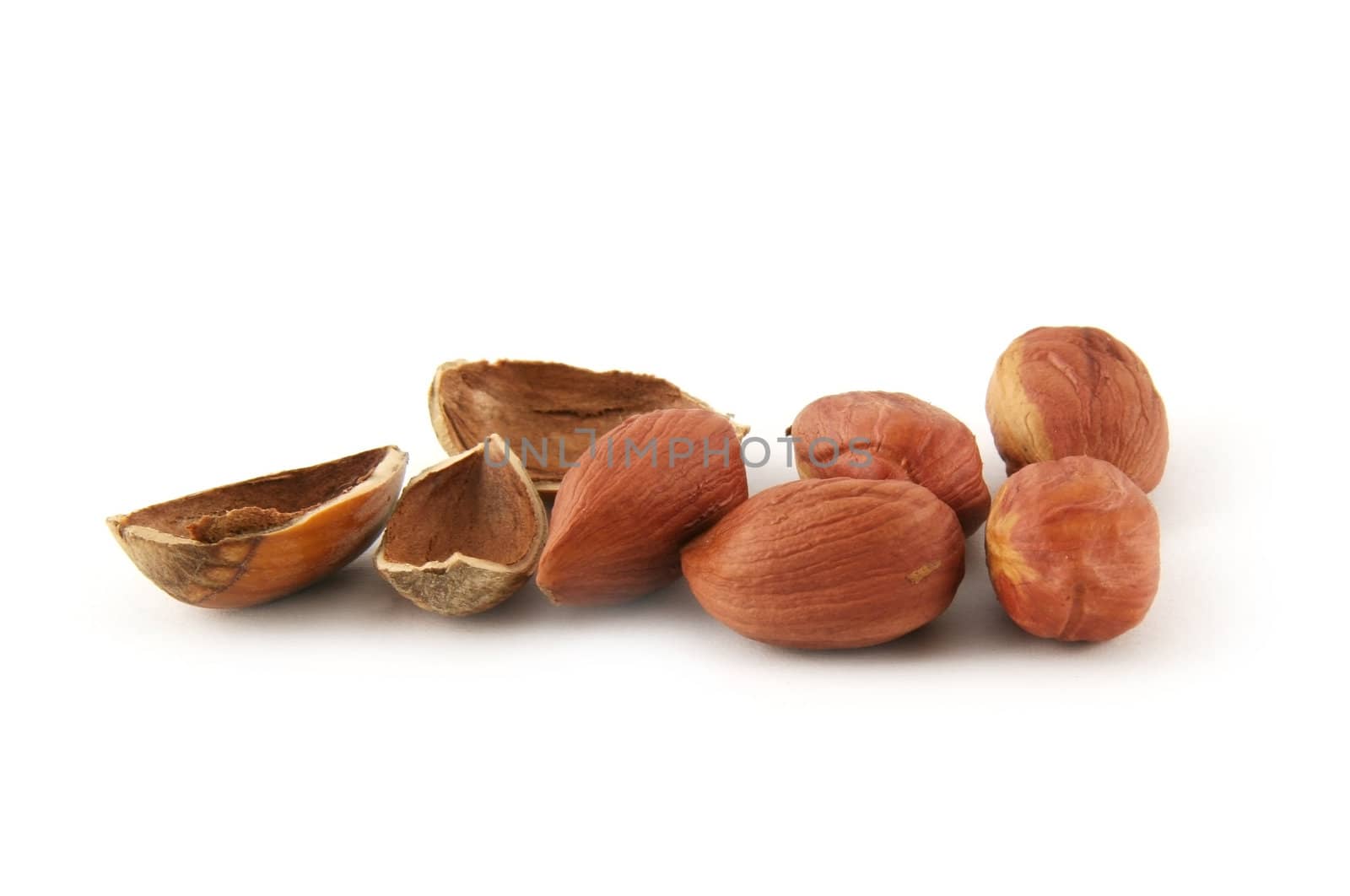 Hazelnut and it shal isolated on white background