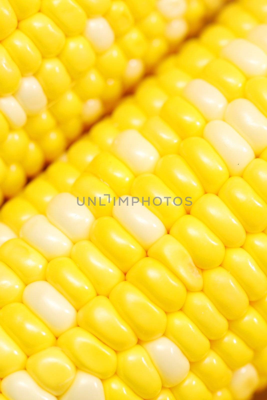 Corn close-up.