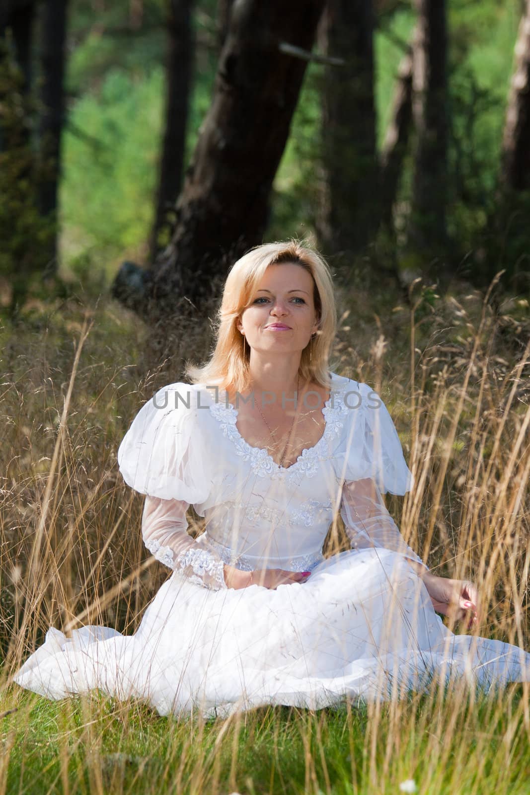 gorgeous bride posing in forest