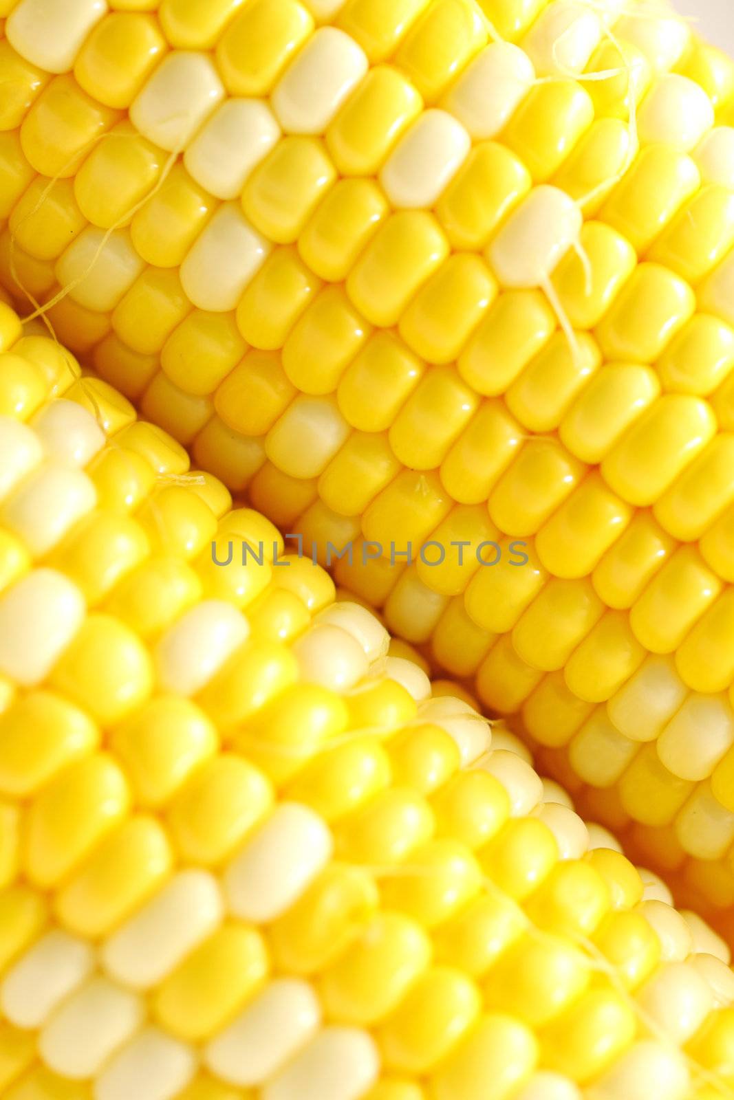 Corn close-up. by kawing921