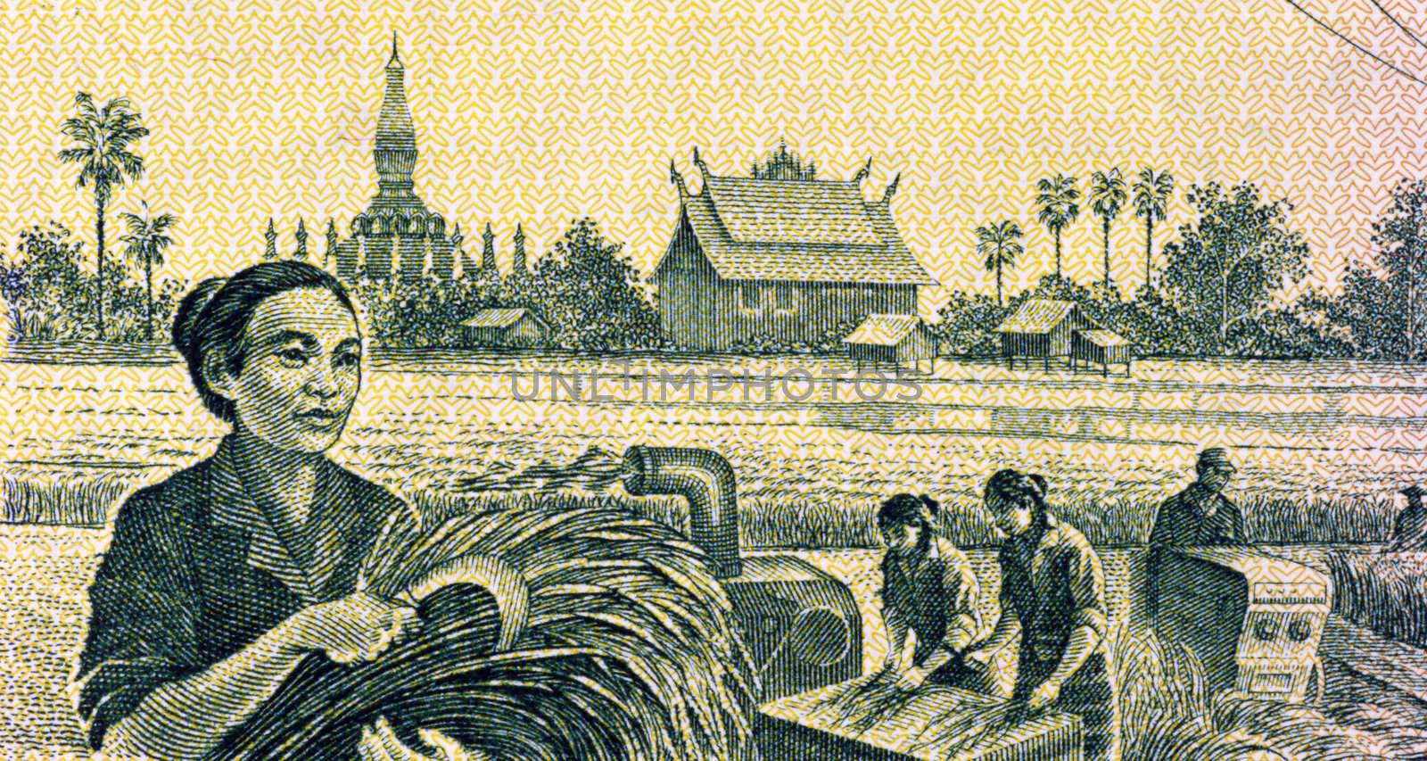 Grain Harvesting on 100 Kip 1979 Banknote from Laos.