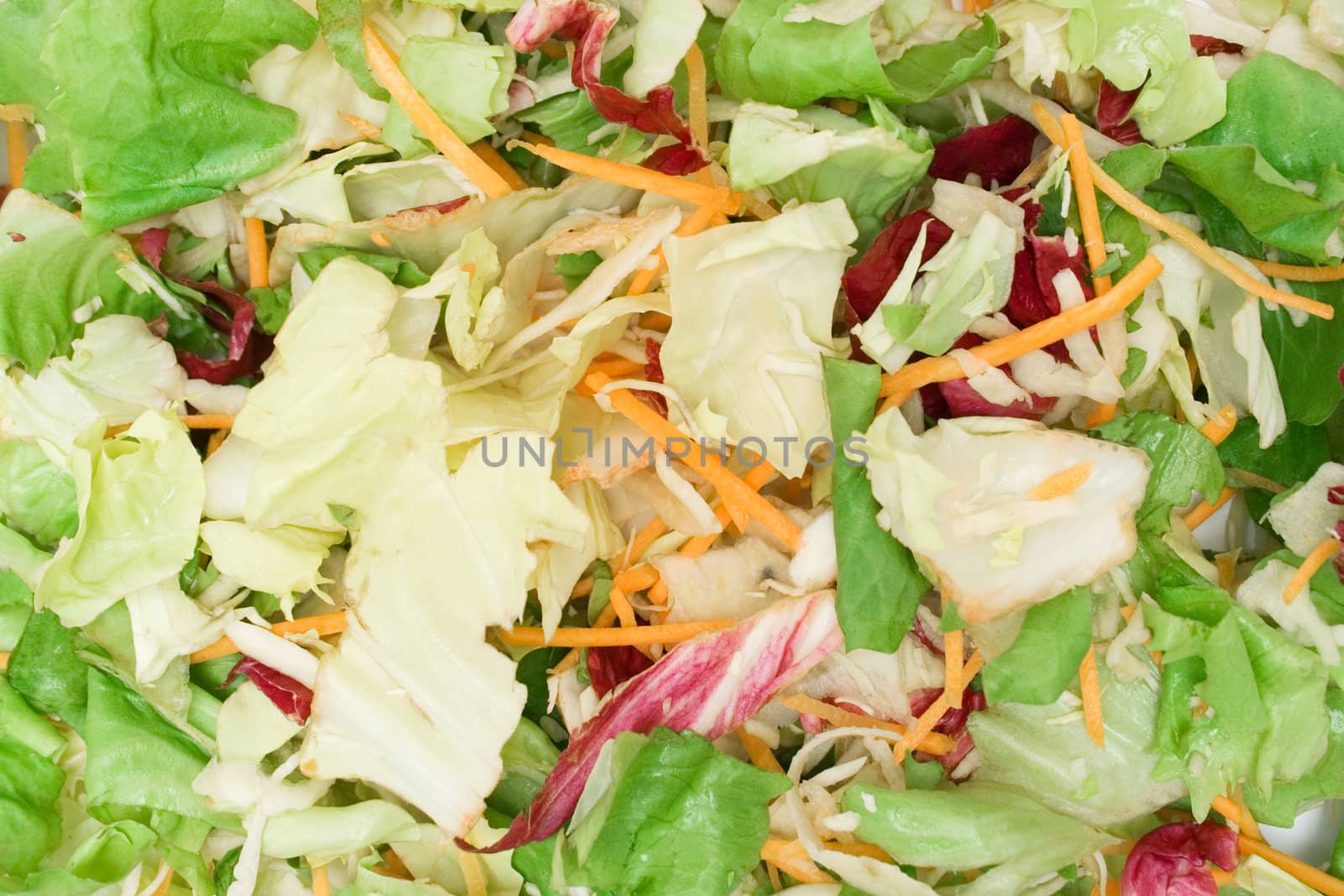 Texture shot of fresh looking mixed salad.