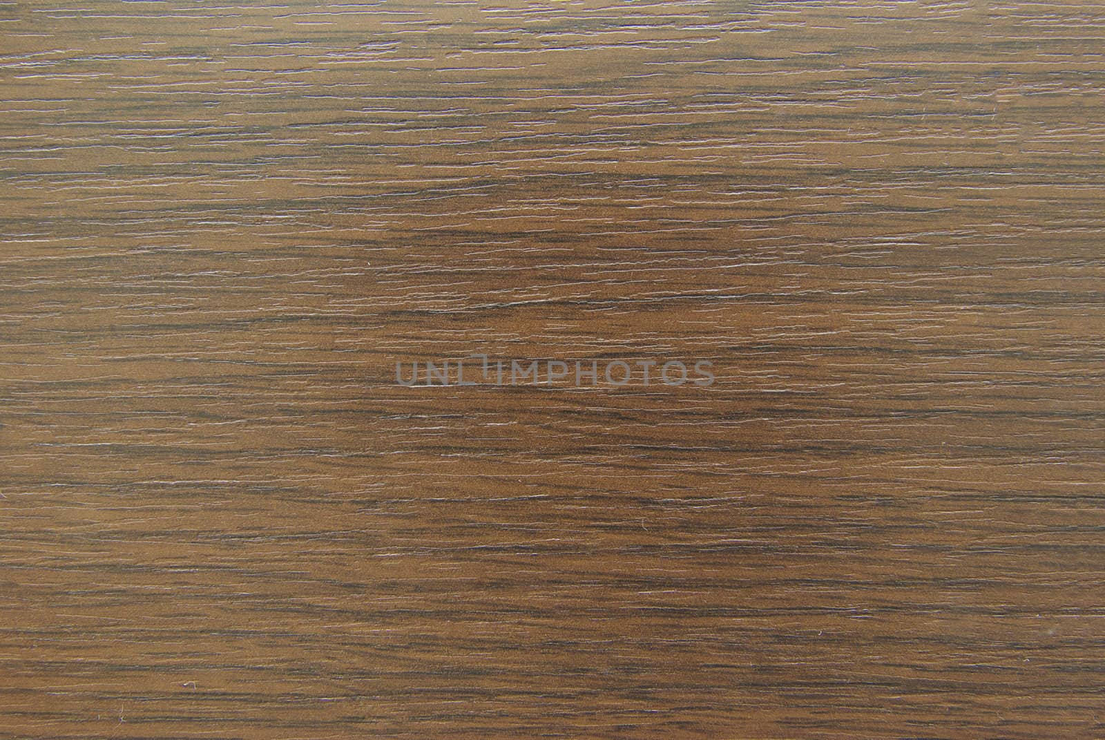 Texture of  wood to serve as background