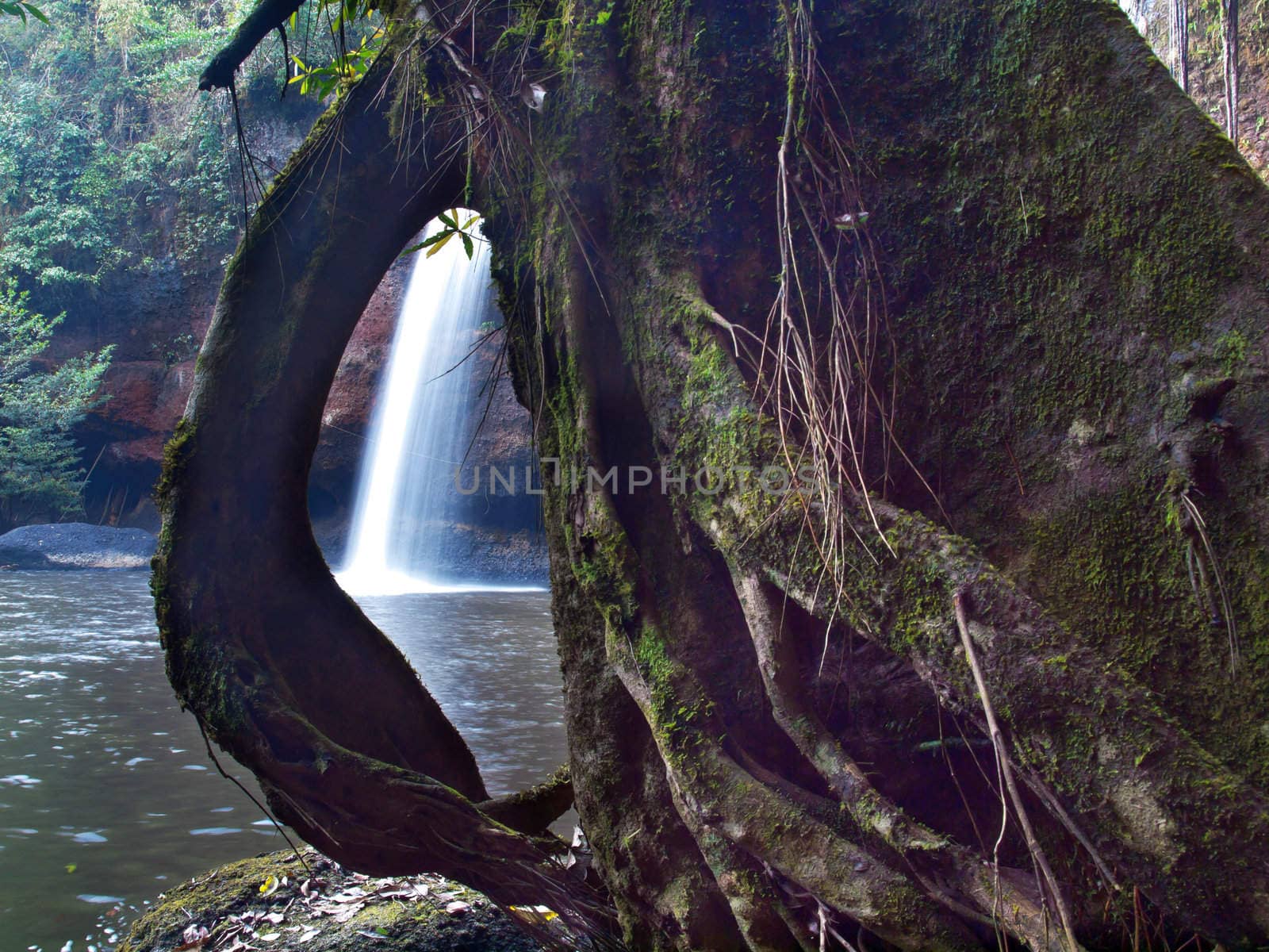 Waterfall in deep forest view from root hole, Thailand.