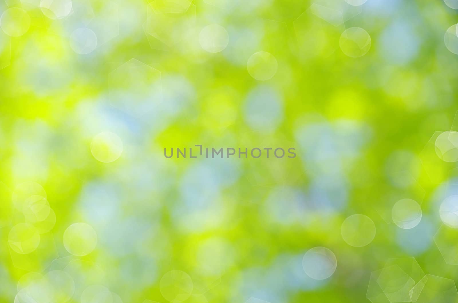Natural green a blurred background
