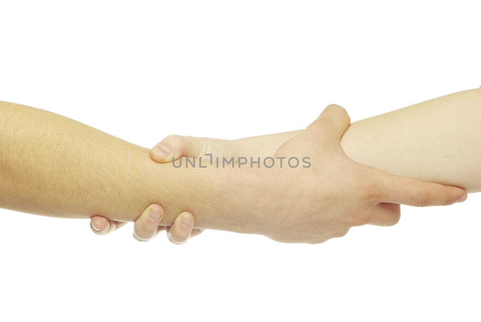 hand in a hand isolated on white