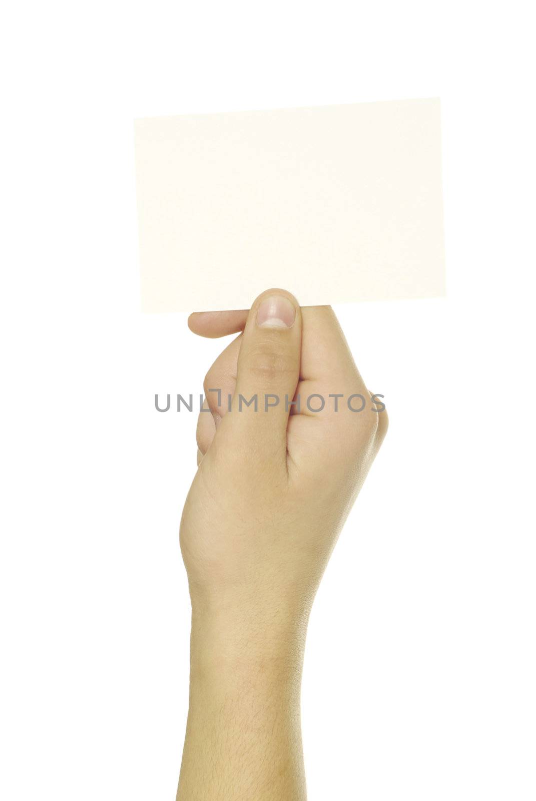 card blank in a hand isolated on white