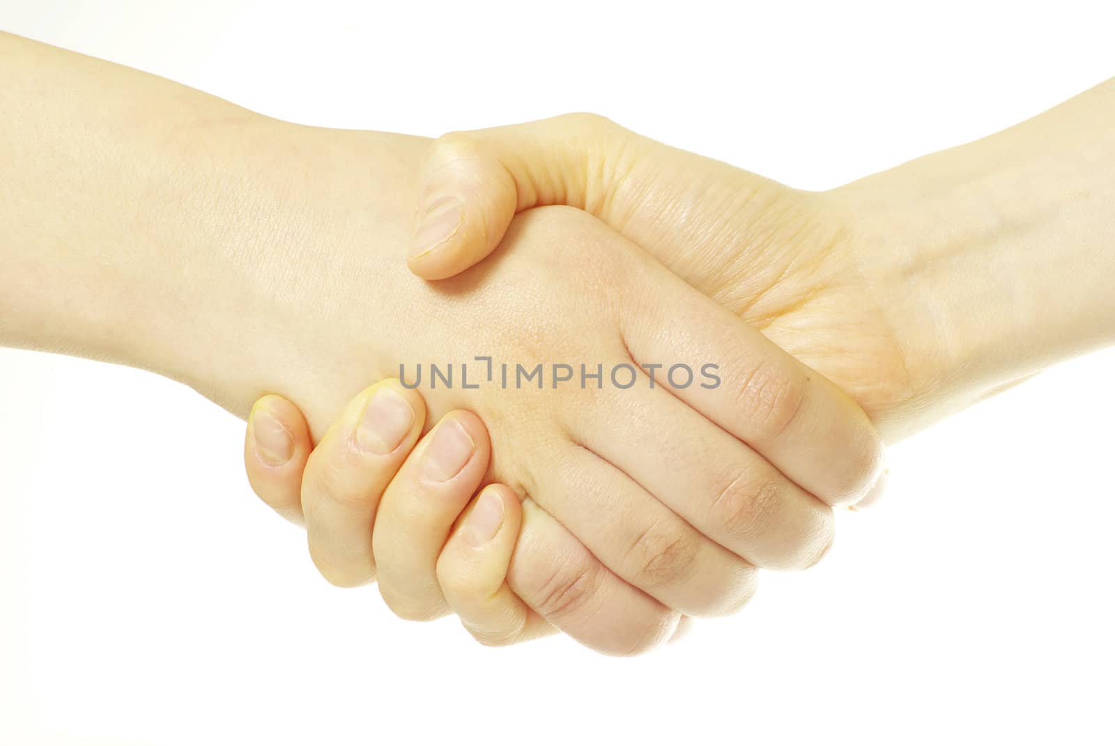 closeup of two men shaking hands isolated over white