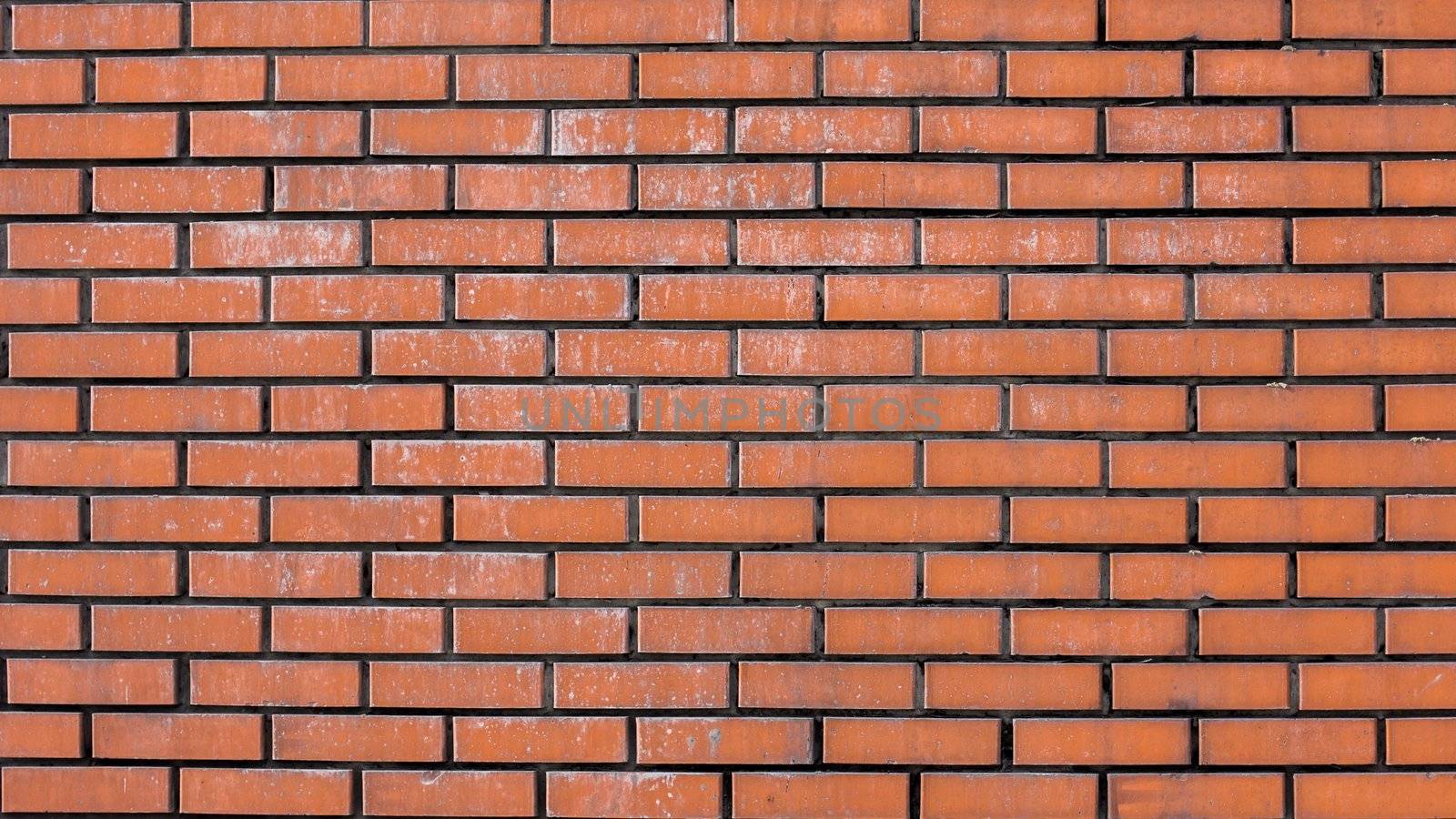 red brick wall by natochka
