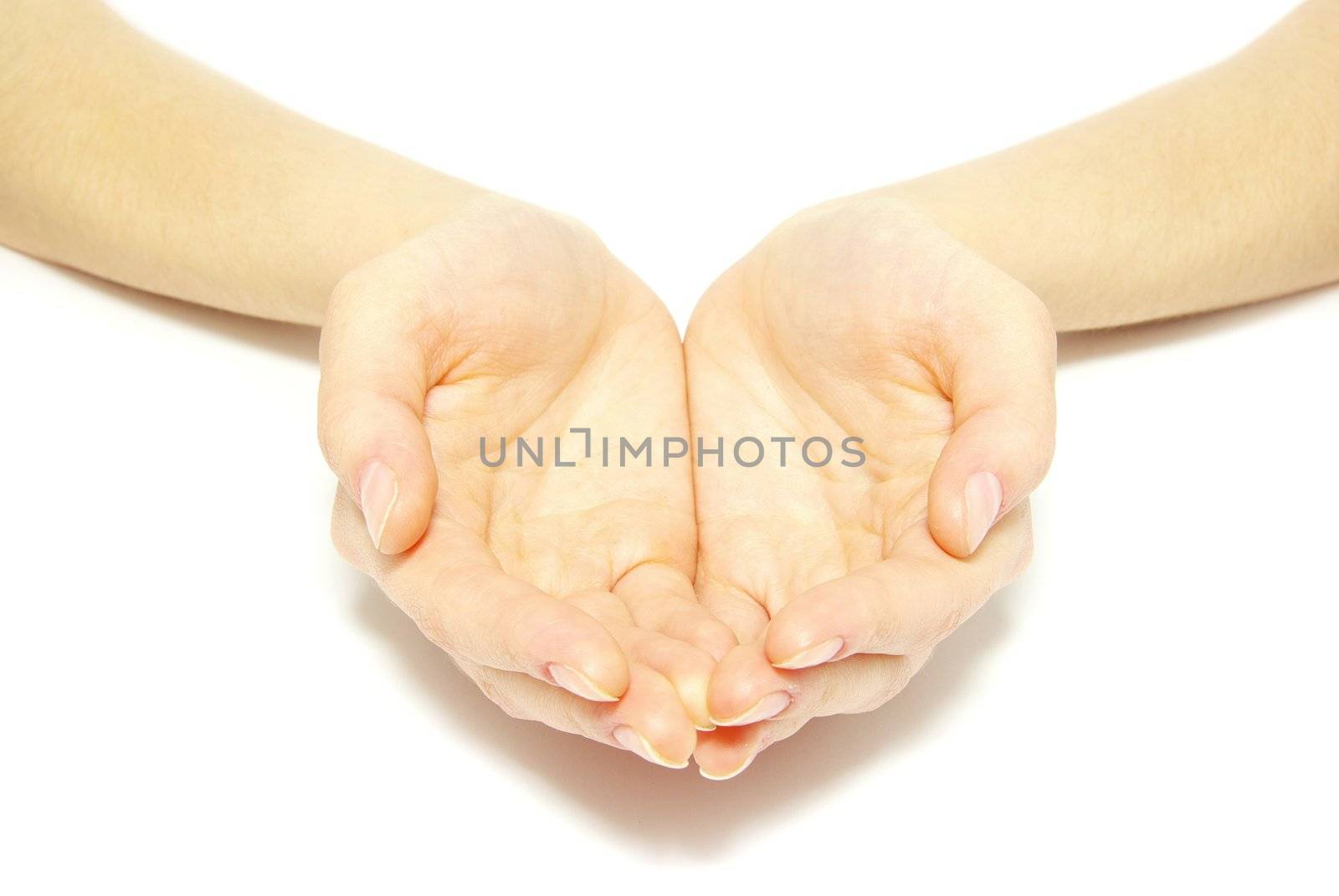 A hands begging alms on a red background