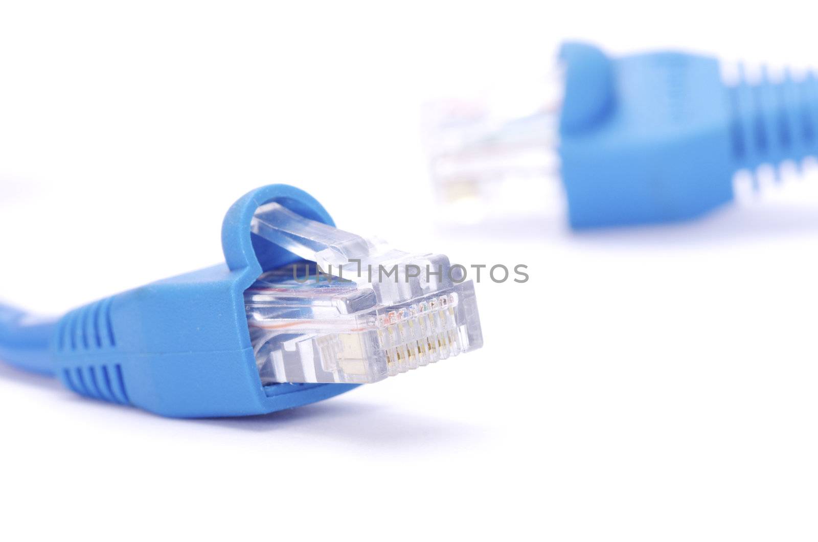  Macro shot of network connection plug