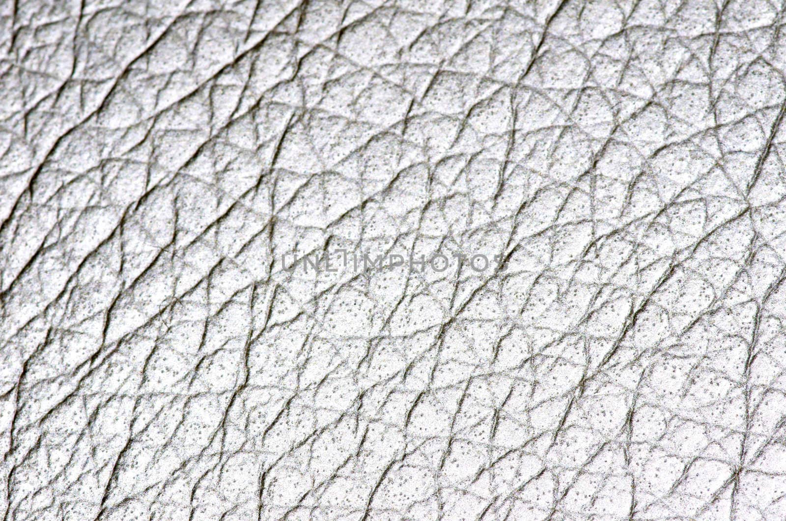 Natural qualitative white leather texture
