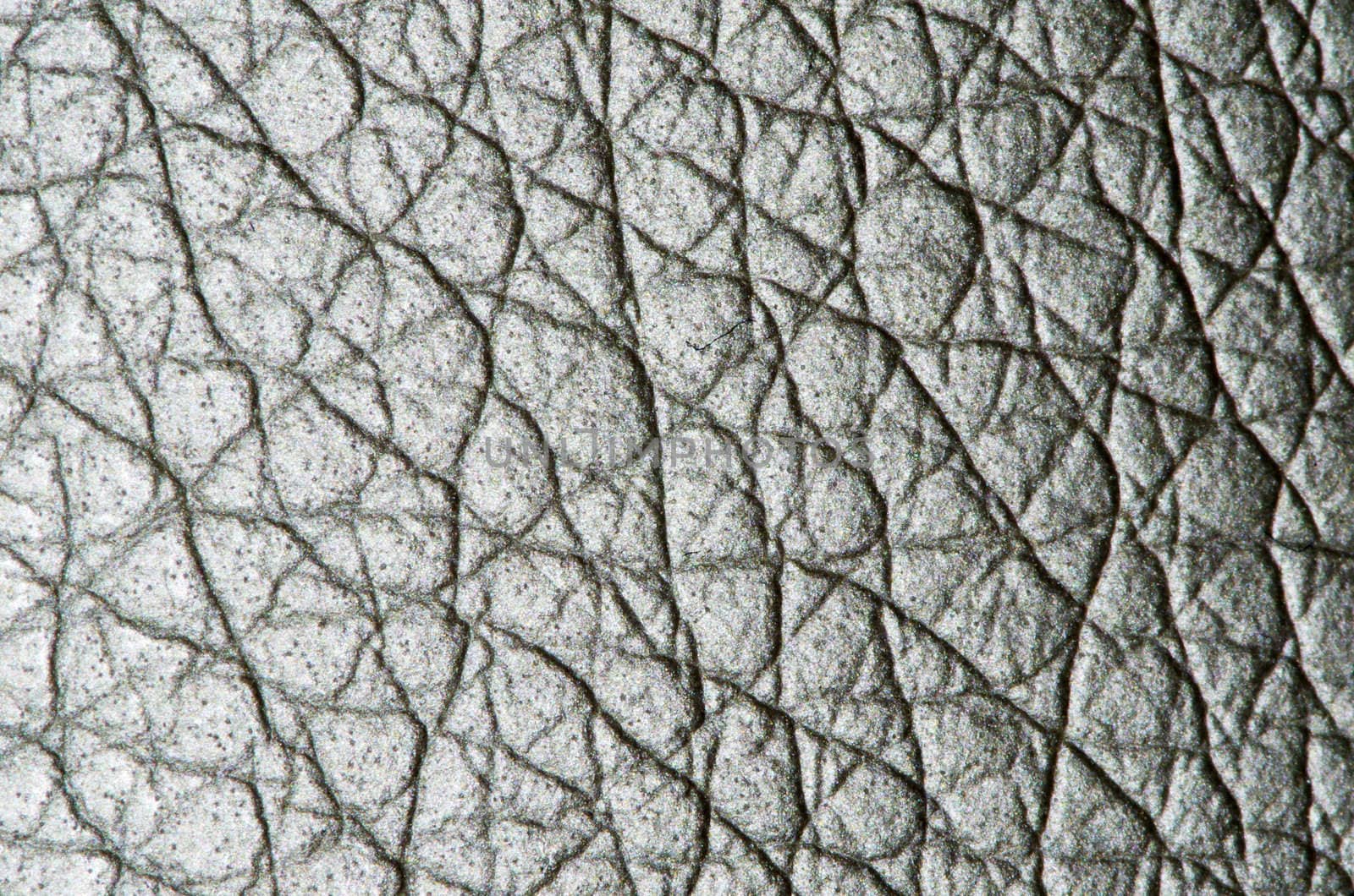 Natural qualitative white leather texture