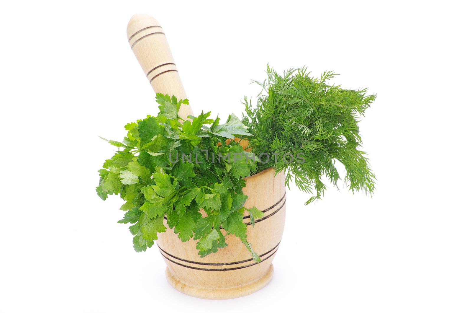 Healing herbs on white background 
