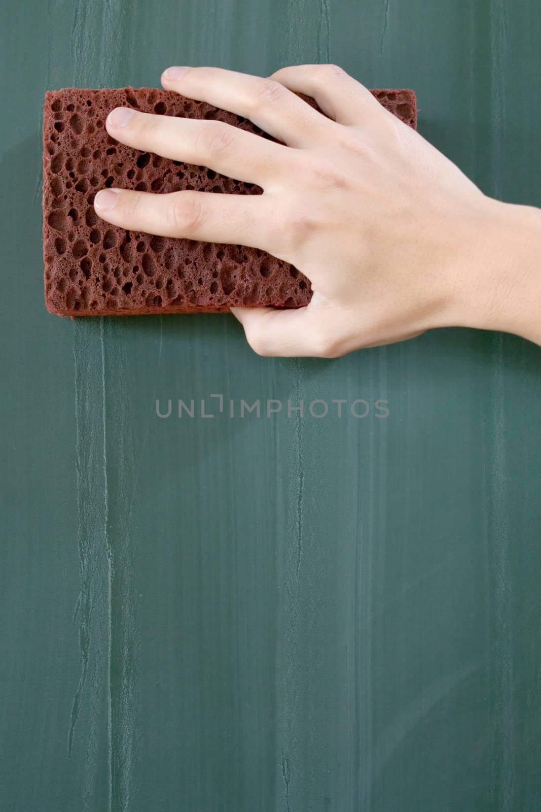 Female hand erasing a greenish chalkboard.