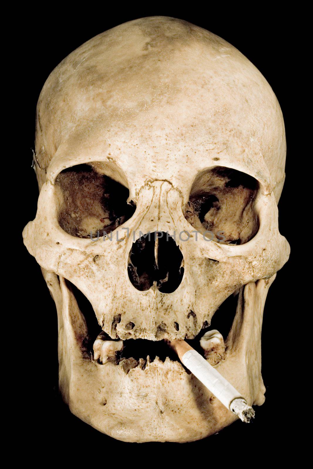 Human skull with cigarette isolated on a black background.