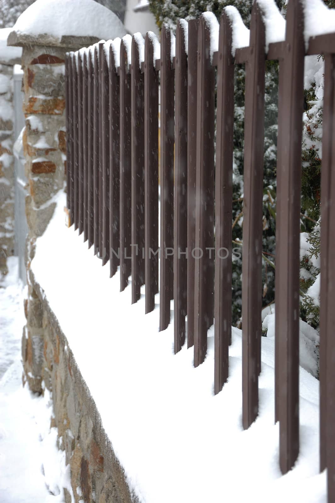 Fence in winter