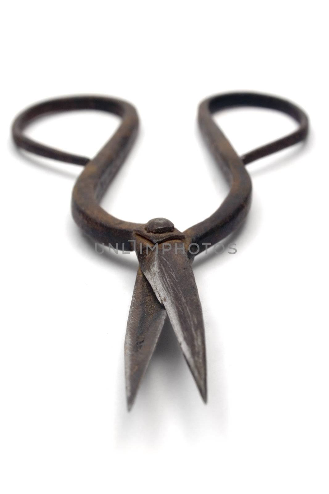 Antique scissors isolated on white. Shallow depth of field.