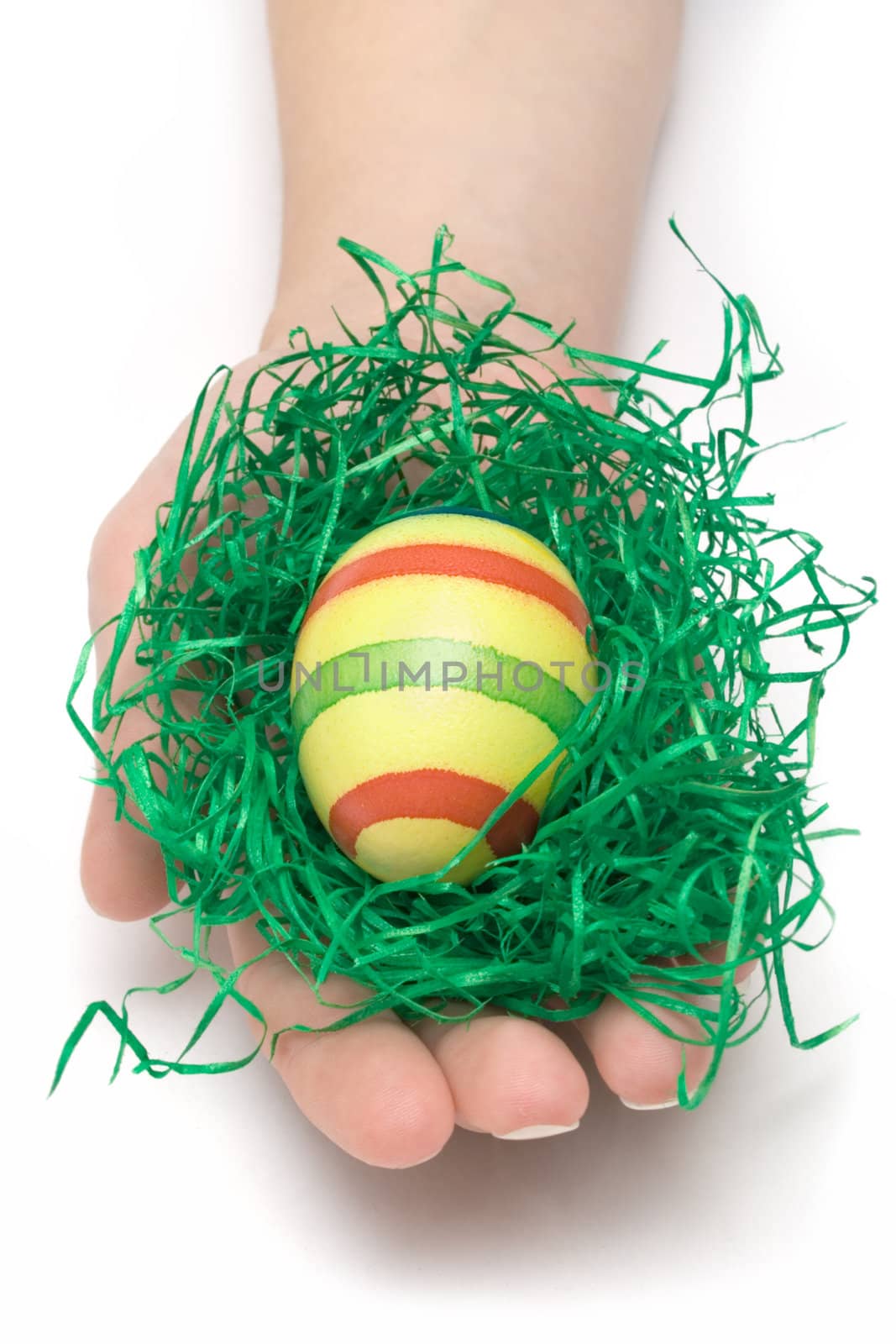Female hand holding an Easter egg. Isolated on a white background.
