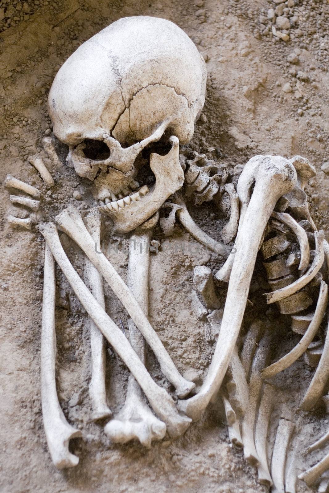 Buried human skeleton.