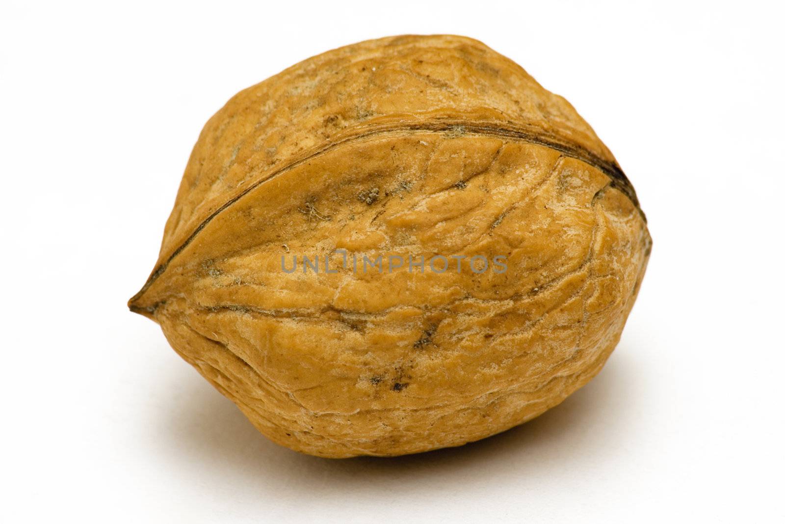 Brown walnut isolated on a white background.
