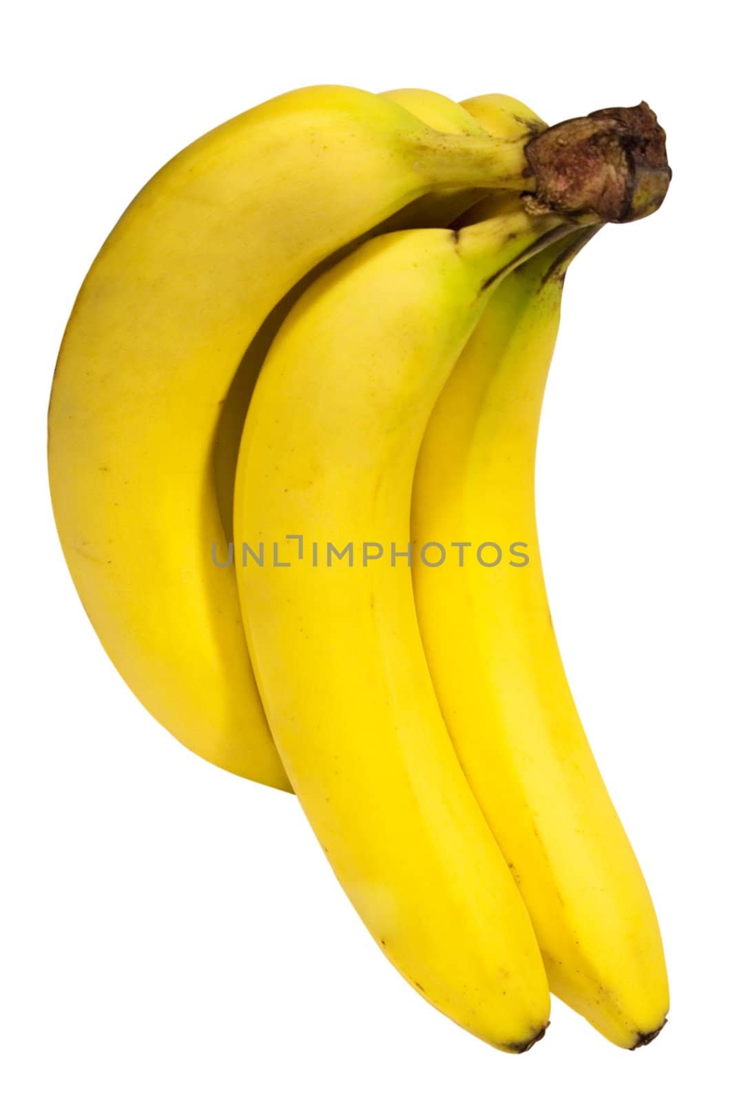 Bunch of bananas on a white background. File contains clipping path.