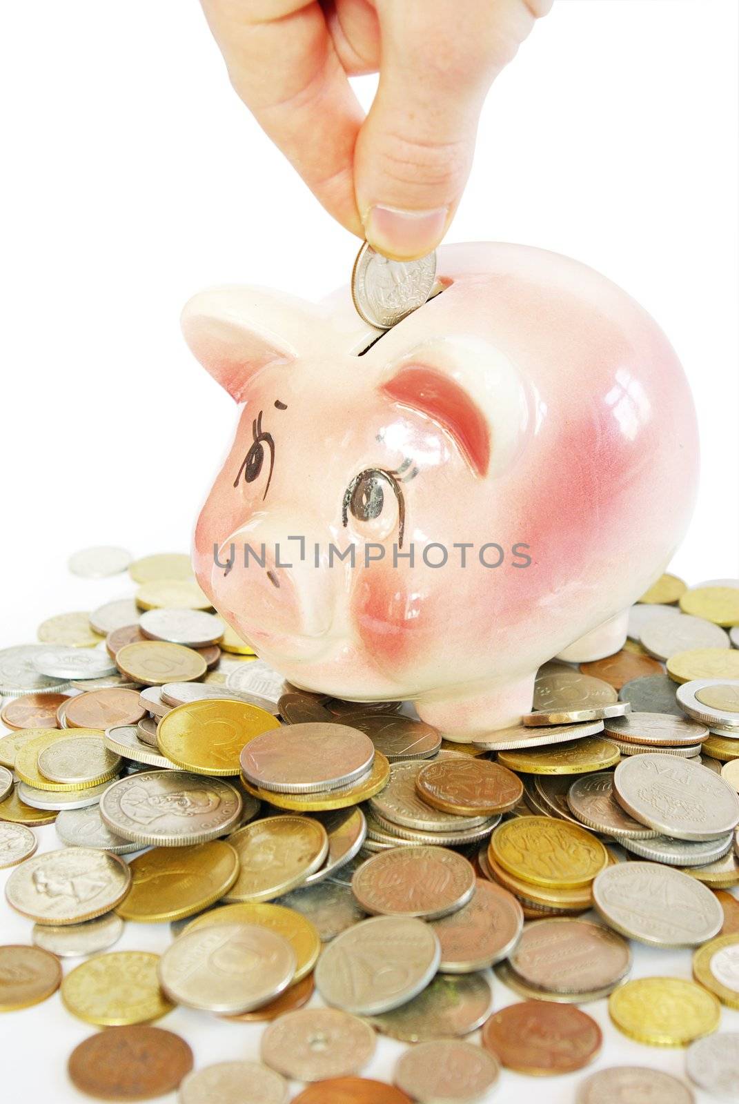 Pink piggy bank  isolated on white background with coins