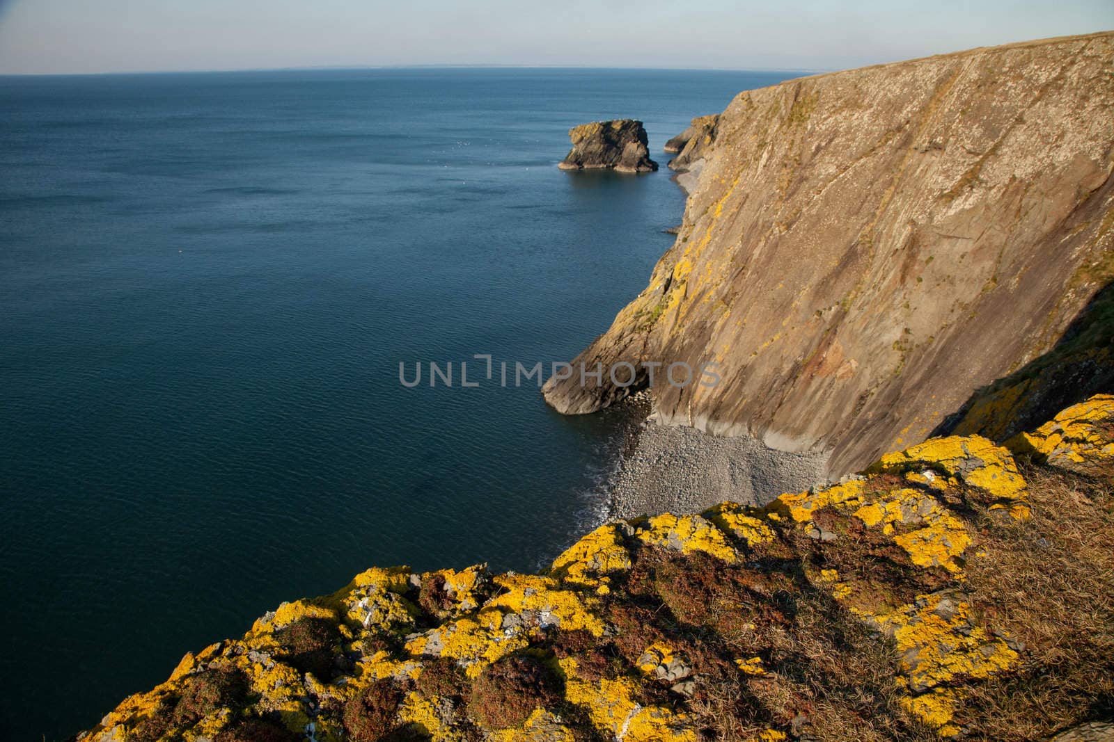 Yellow lichen covered rock on shale cliffs looking out towards a pebble beach and sea cliffs with the sea stack Trwyn y Tal in the distance. Wales coast path, Trefor, Lleyn peninsular, Wales, UK.