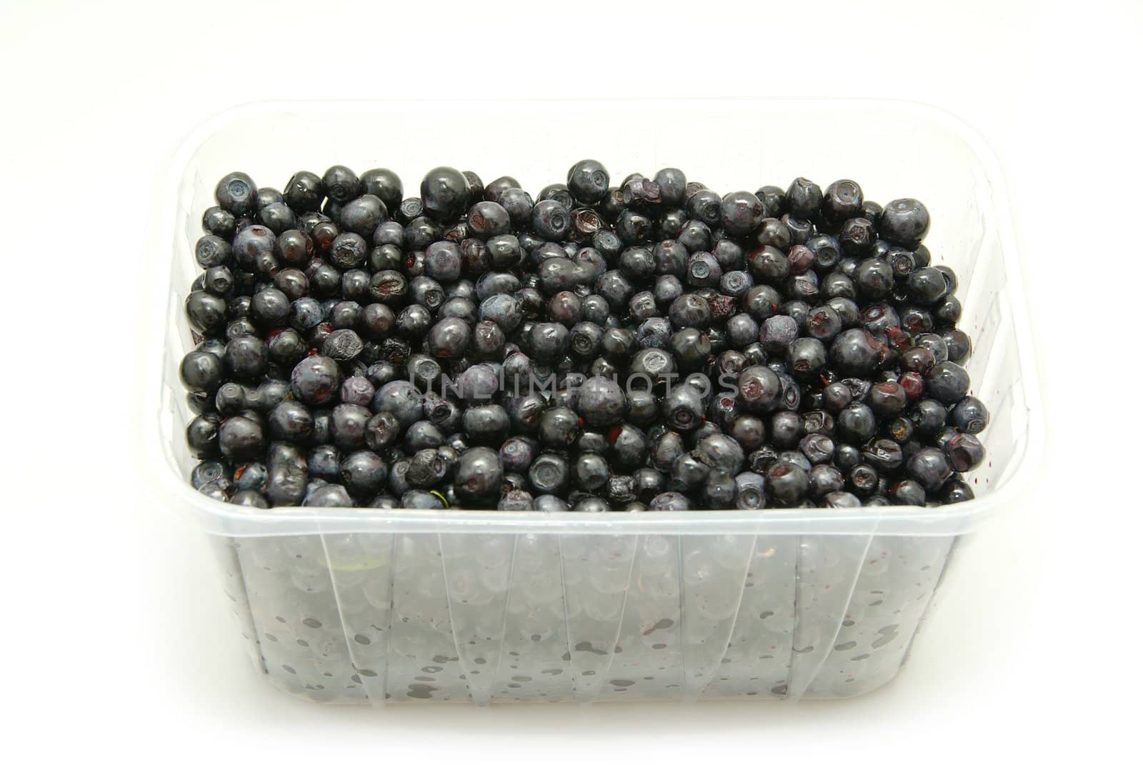 fresh blueberries isolated on white background