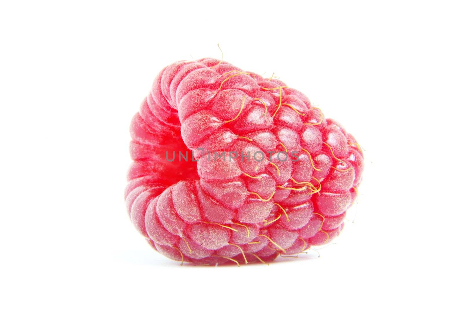Ripe raspberry on a white background