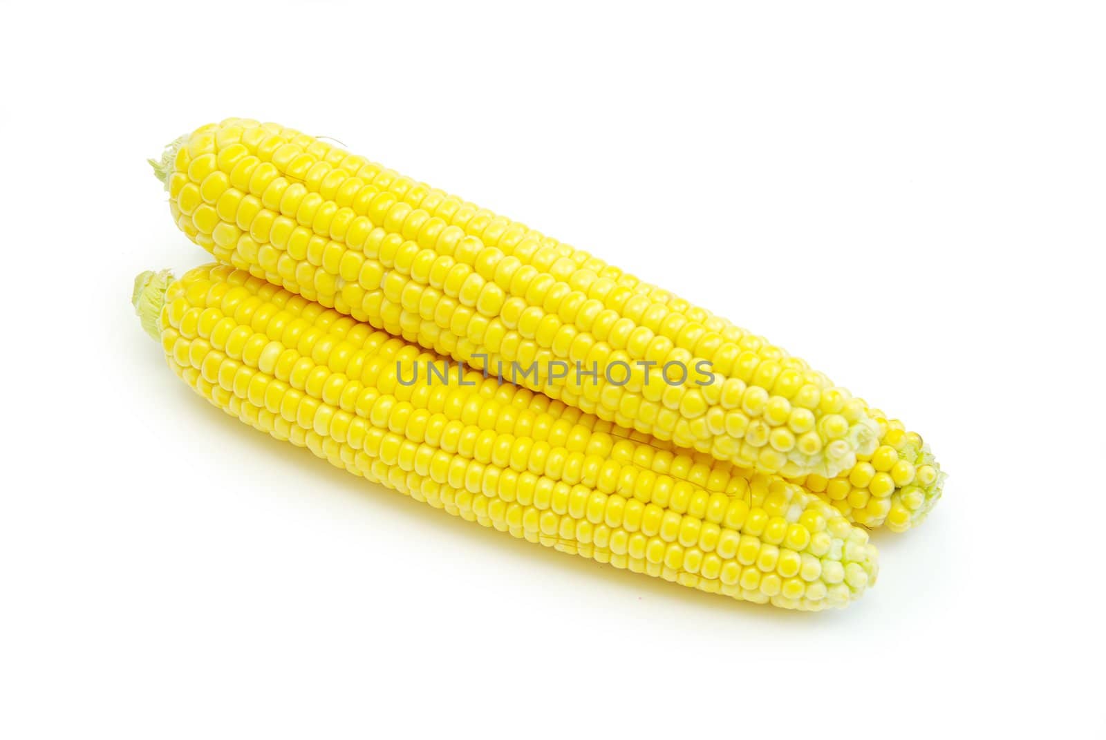 Sweet maize isolated on white background