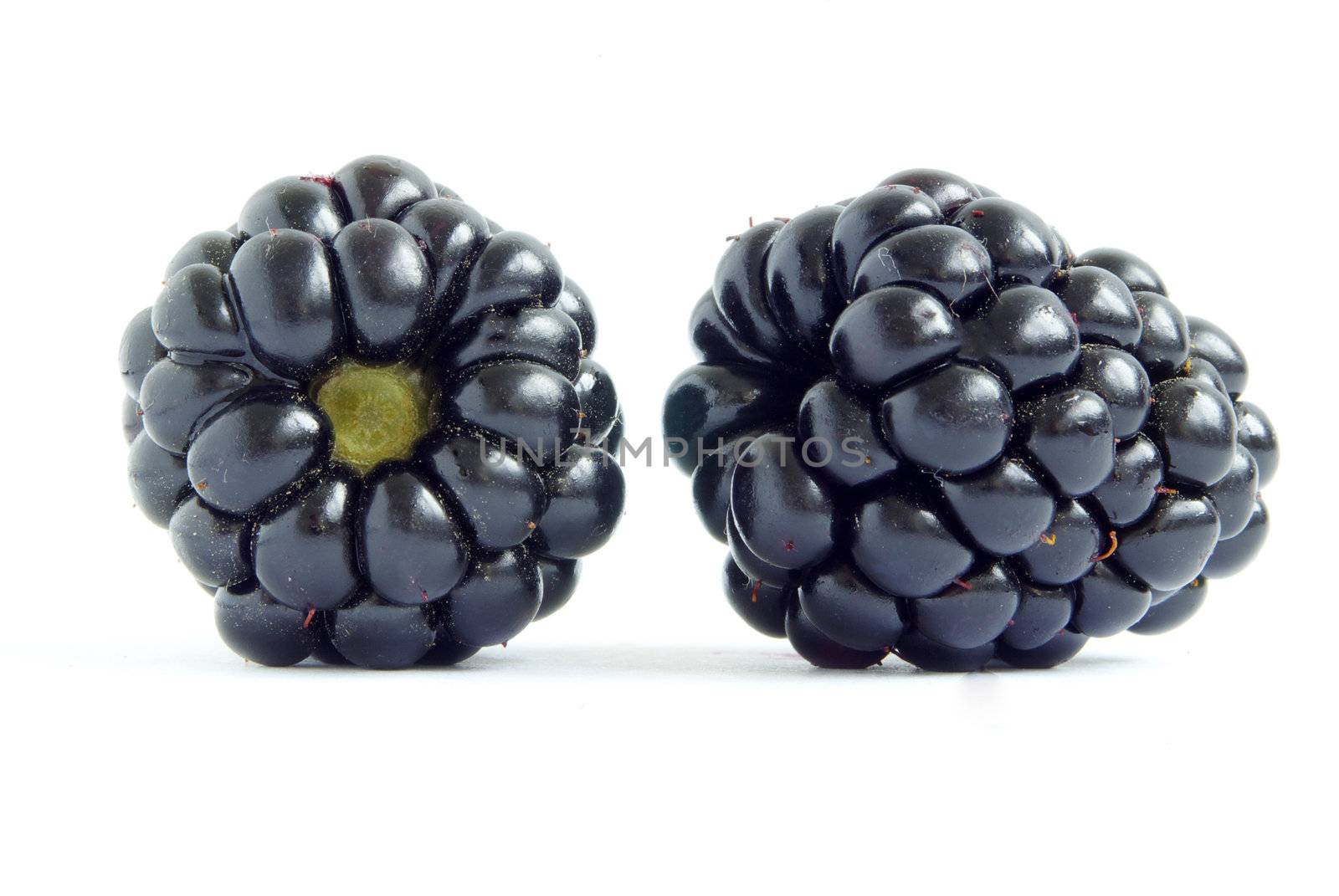 blackberry isolated on a white background