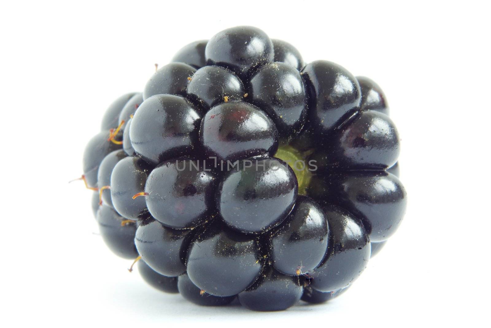 blackberry isolated on white background