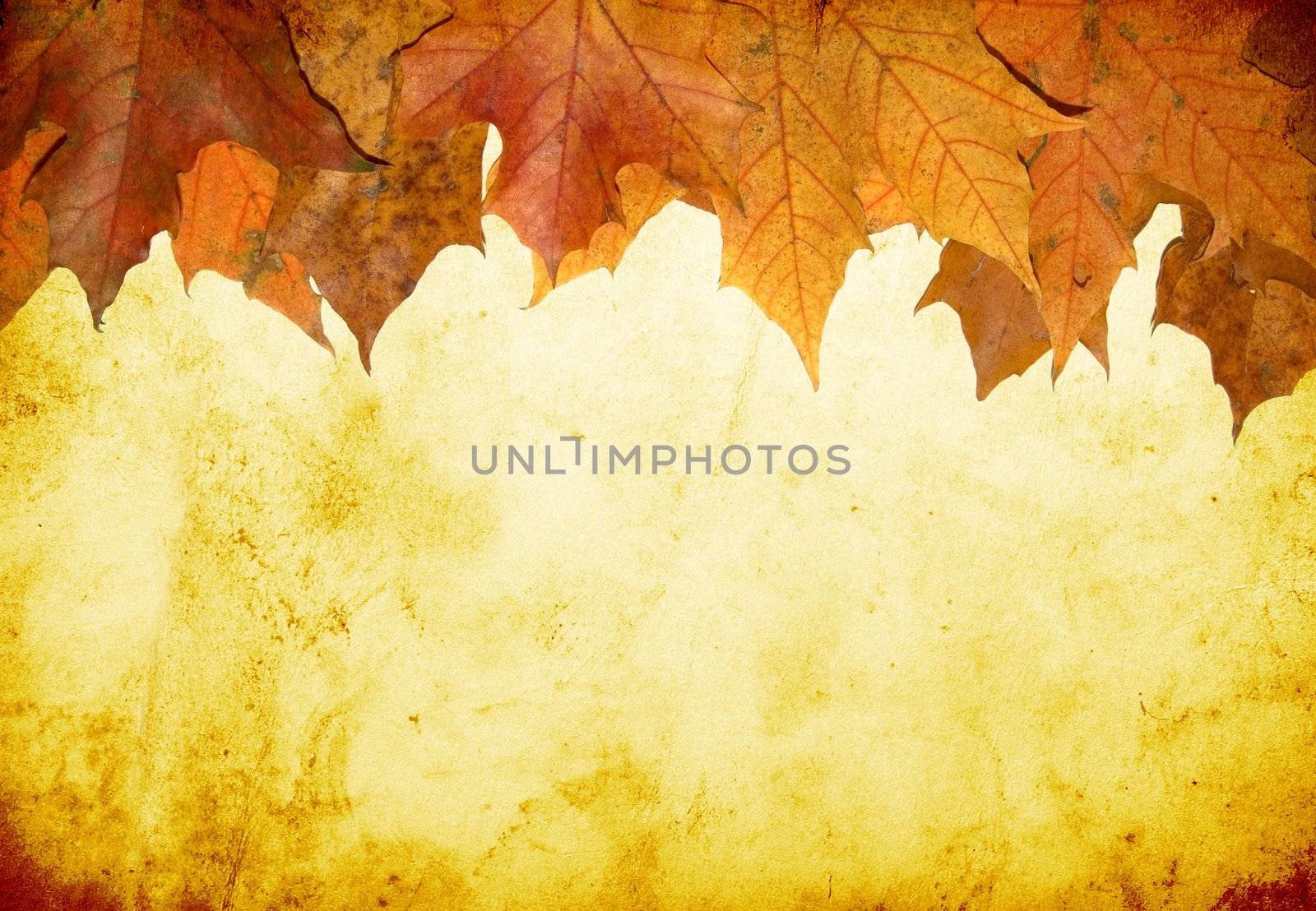grunge background with space for text or image