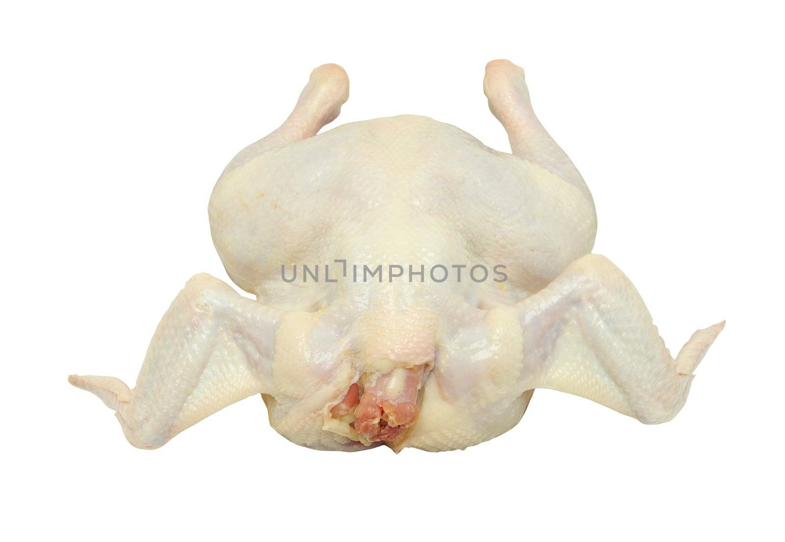 raw chicken isolated on white background