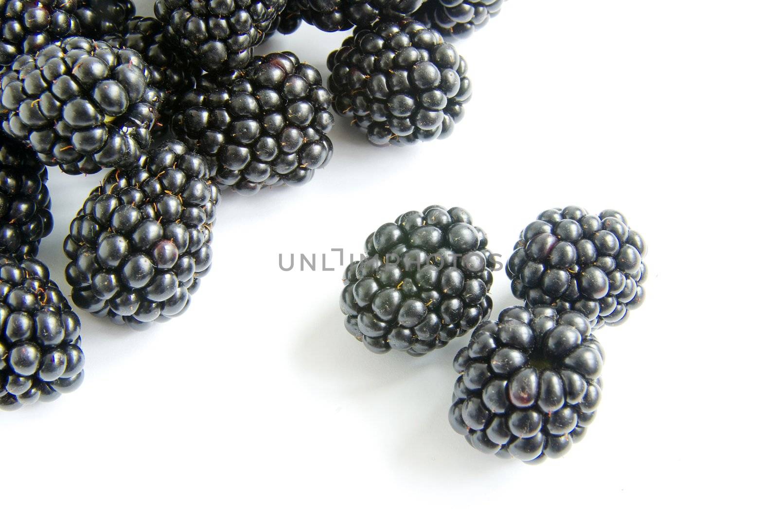 blackberry isolated on a white background