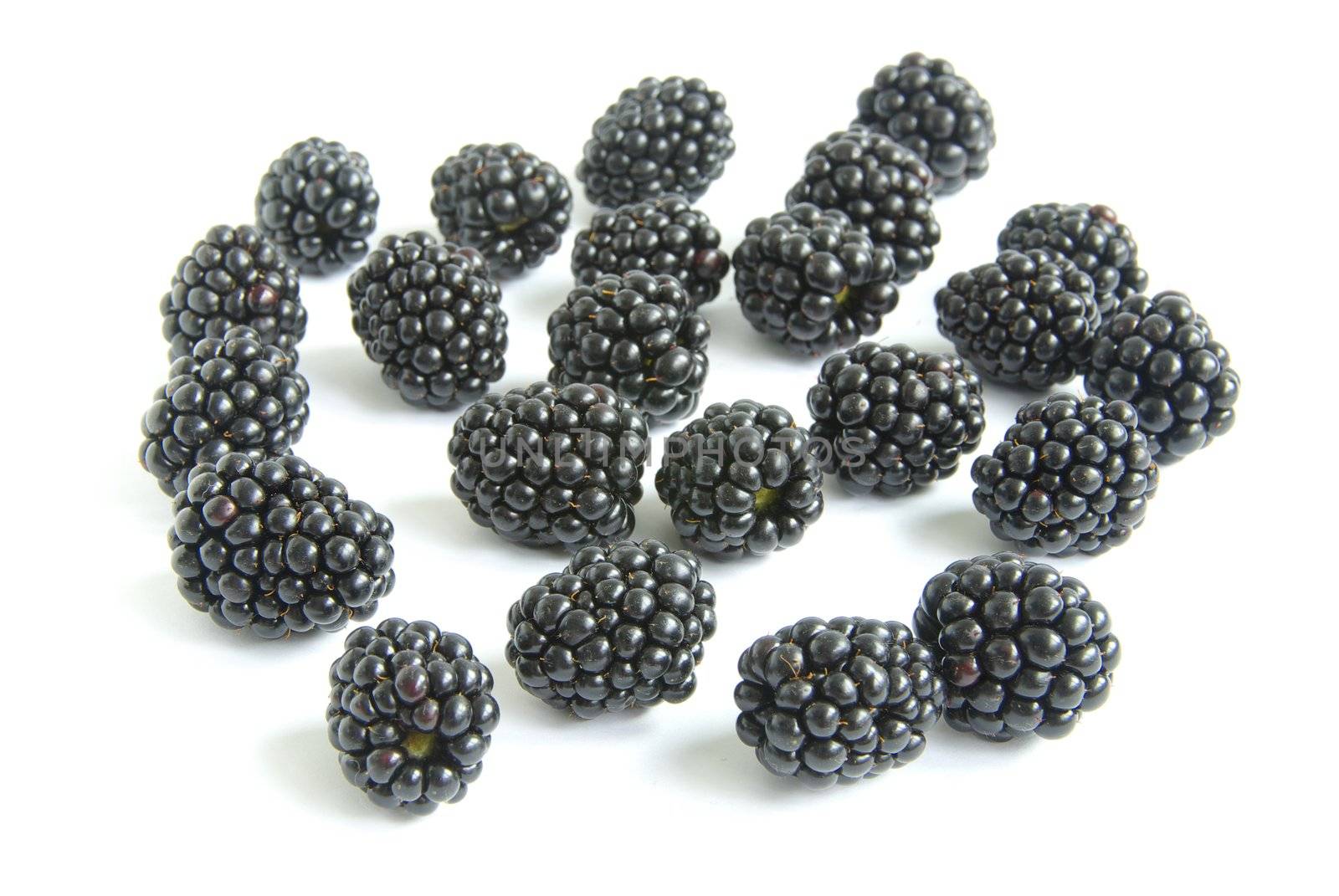 blackberry isolated on white background