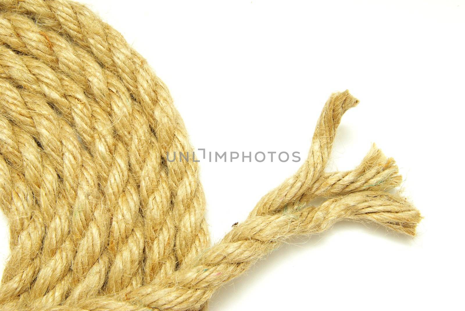 rope isolated on a white background