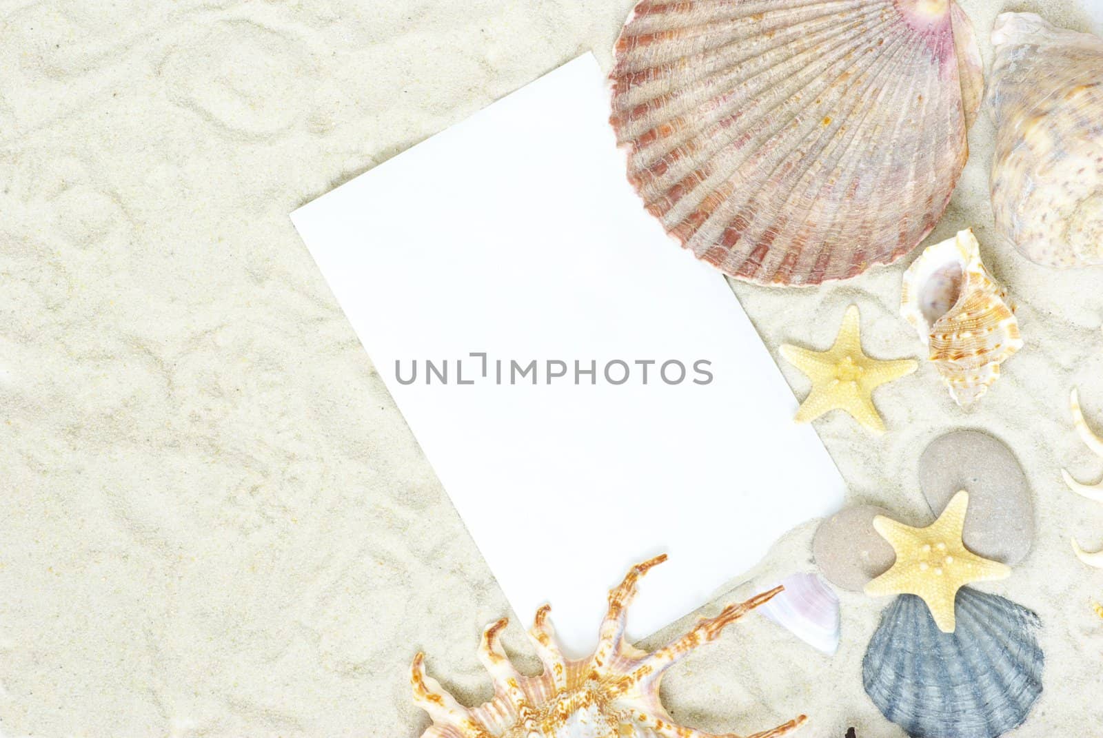 sea stars and shells an blank postcard on sands
