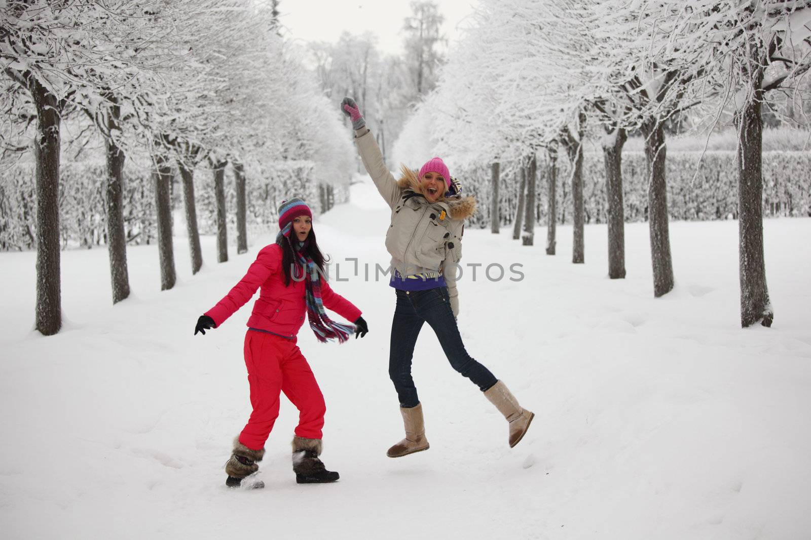 two women walk by winter alley snow trees on background