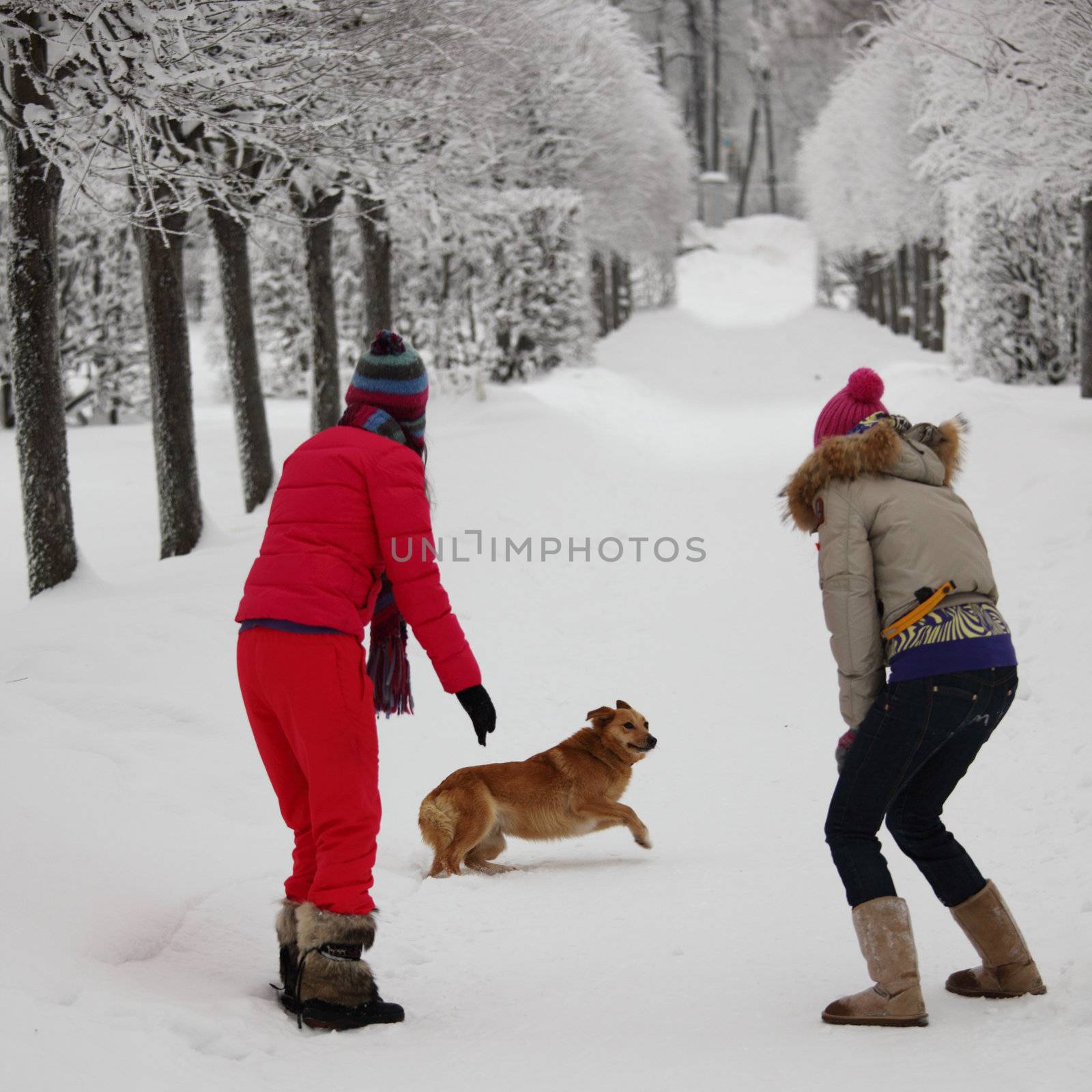 two women walk by winter alley snow trees on background